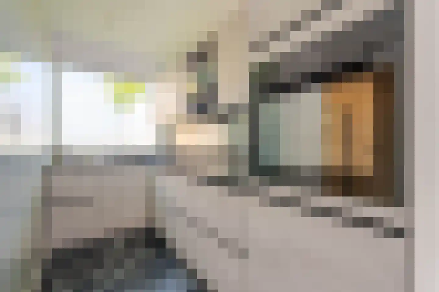 Ellewoutsdijkstraat 214 Rotterdam thumbnail 13