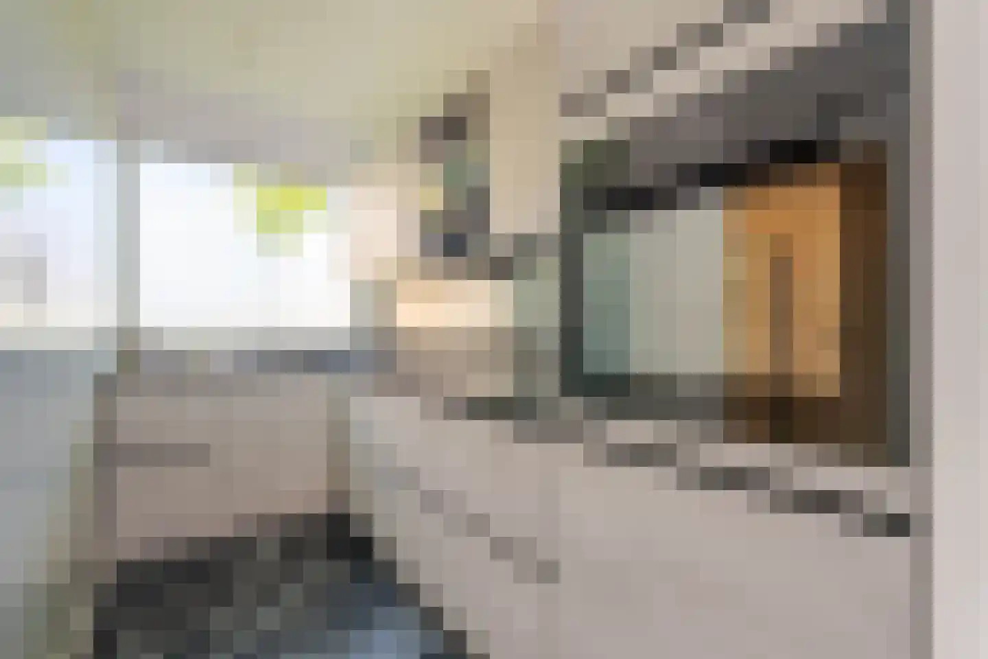 Ellewoutsdijkstraat 214 Rotterdam thumbnail 13