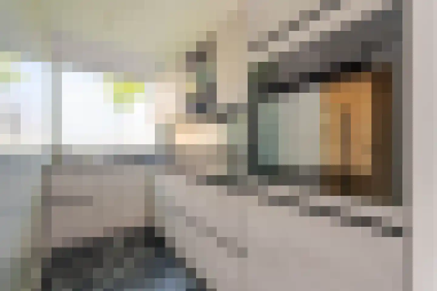 Ellewoutsdijkstraat 214 Rotterdam thumbnail 14