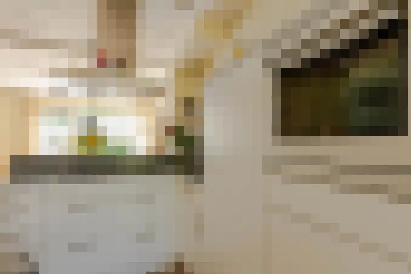 Ellewoutsdijkstraat 232 Rotterdam thumbnail 12