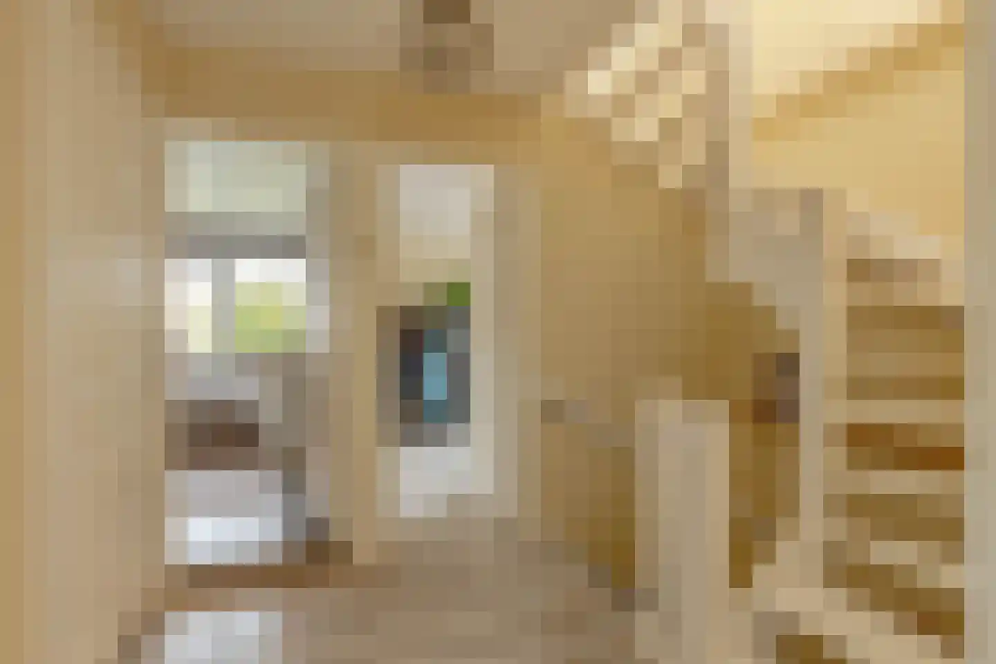 Ellewoutsdijkstraat 232 Rotterdam thumbnail 31