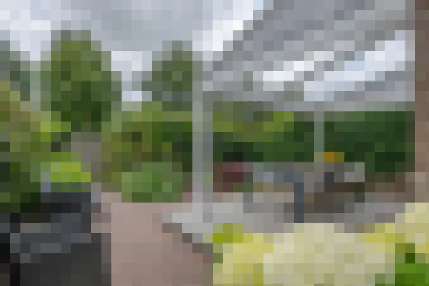 Ellewoutsdijkstraat 232 Rotterdam thumbnail 5