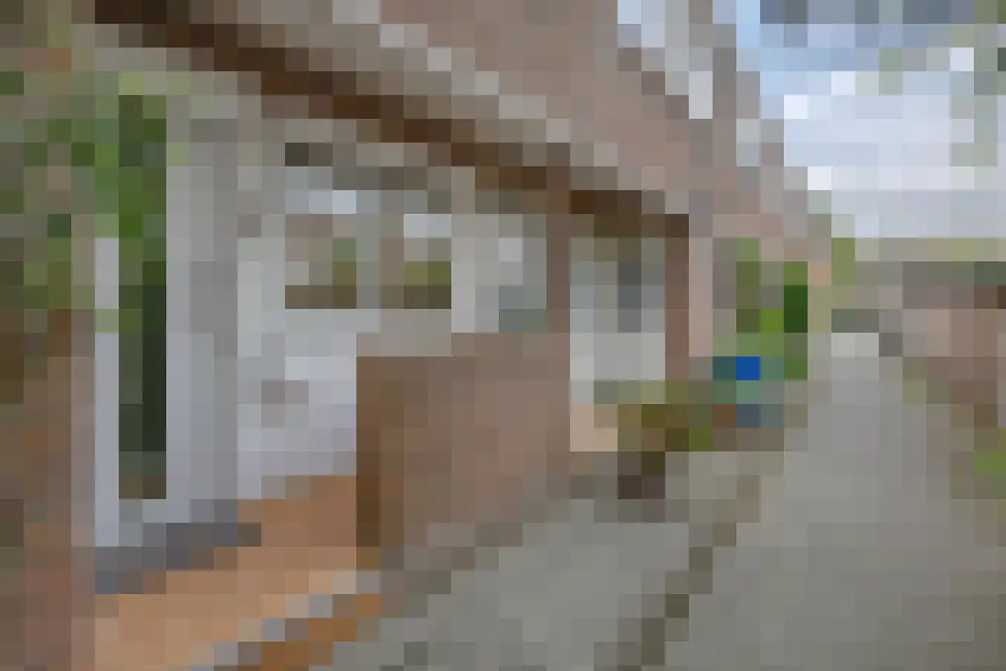 Ellewoutsdijkstraat 232 Rotterdam thumbnail 7