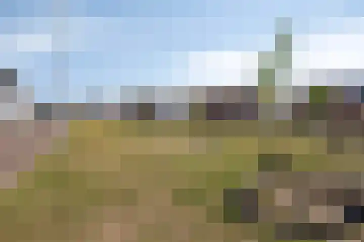 Ellingtonlaan 104 Tilburg thumbnail 34