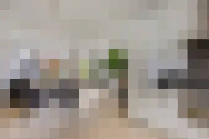 Ellingtonlaan 112 Tilburg thumbnail 11