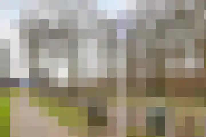Ellingtonlaan 112 Tilburg thumbnail 33