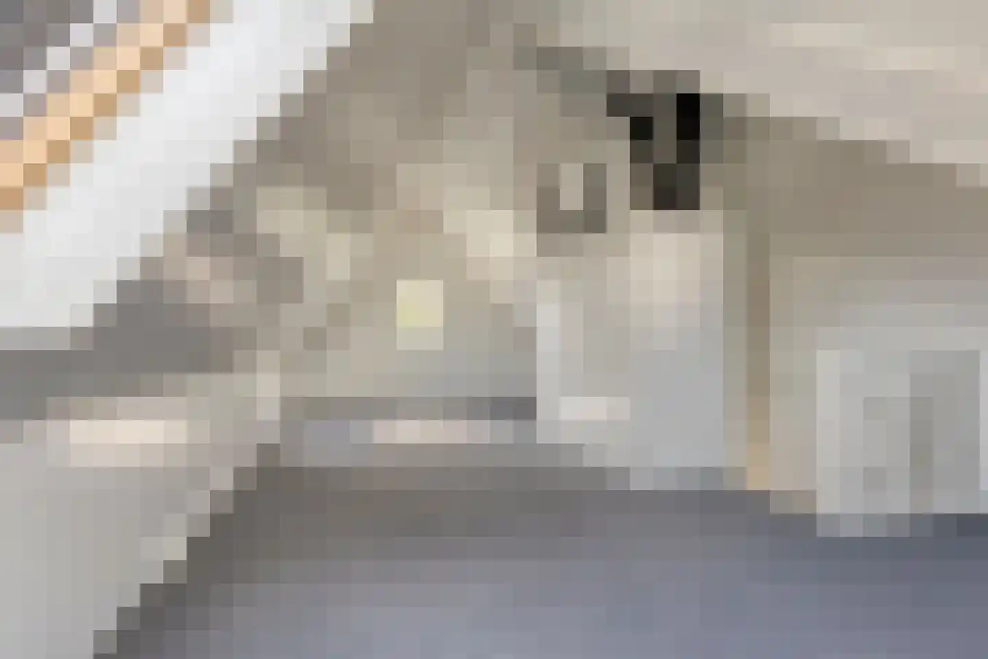 Ellingtonlaan 114 Tilburg thumbnail 26