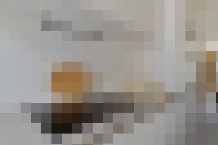 Ellingtonlaan 42 Tilburg thumbnail 11