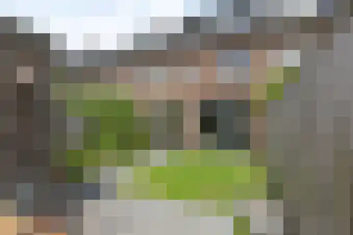 Ellingtonlaan 42 Tilburg thumbnail 30