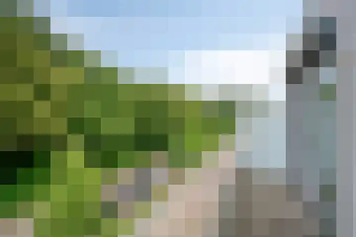 Ellingtonlaan 64 Tilburg thumbnail 30