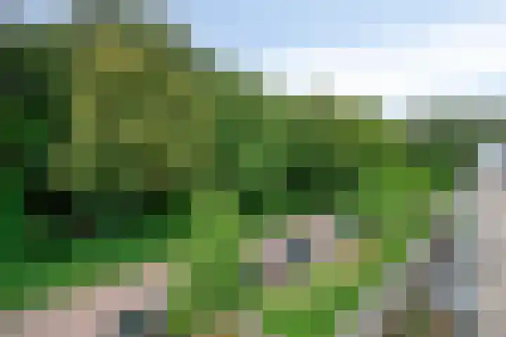 Ellingtonlaan 64 Tilburg thumbnail 32