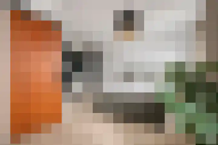 Ellingtonlaan 64 Tilburg thumbnail 4