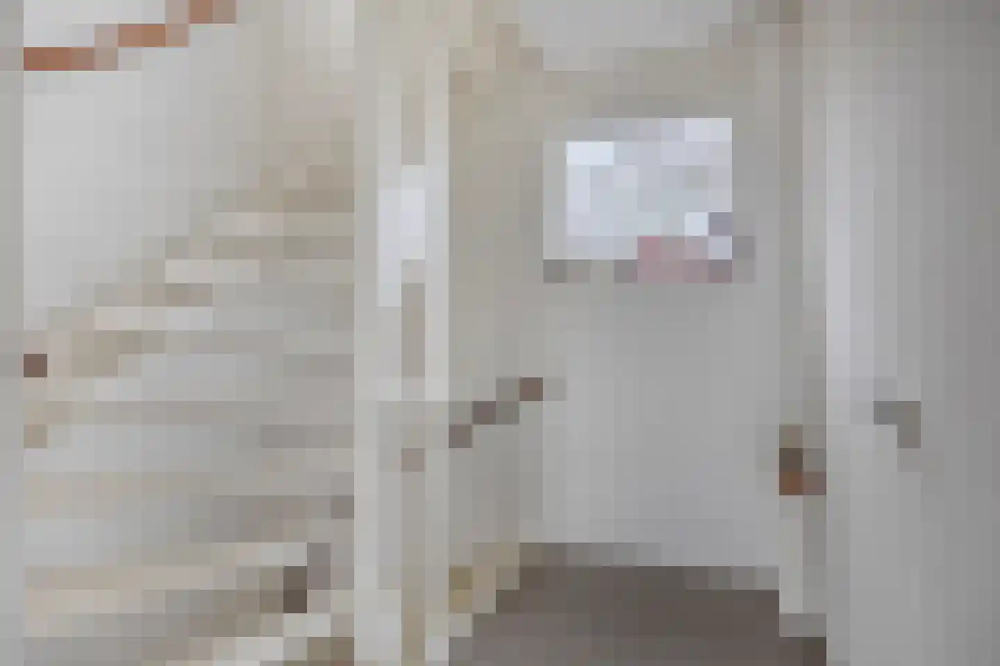 Elly Kerckhoffskade 12 Leiden thumbnail 13