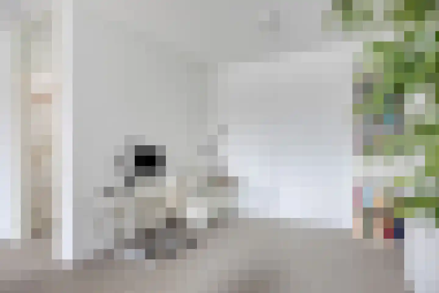 Elly Kerckhoffskade 12 Leiden thumbnail 19