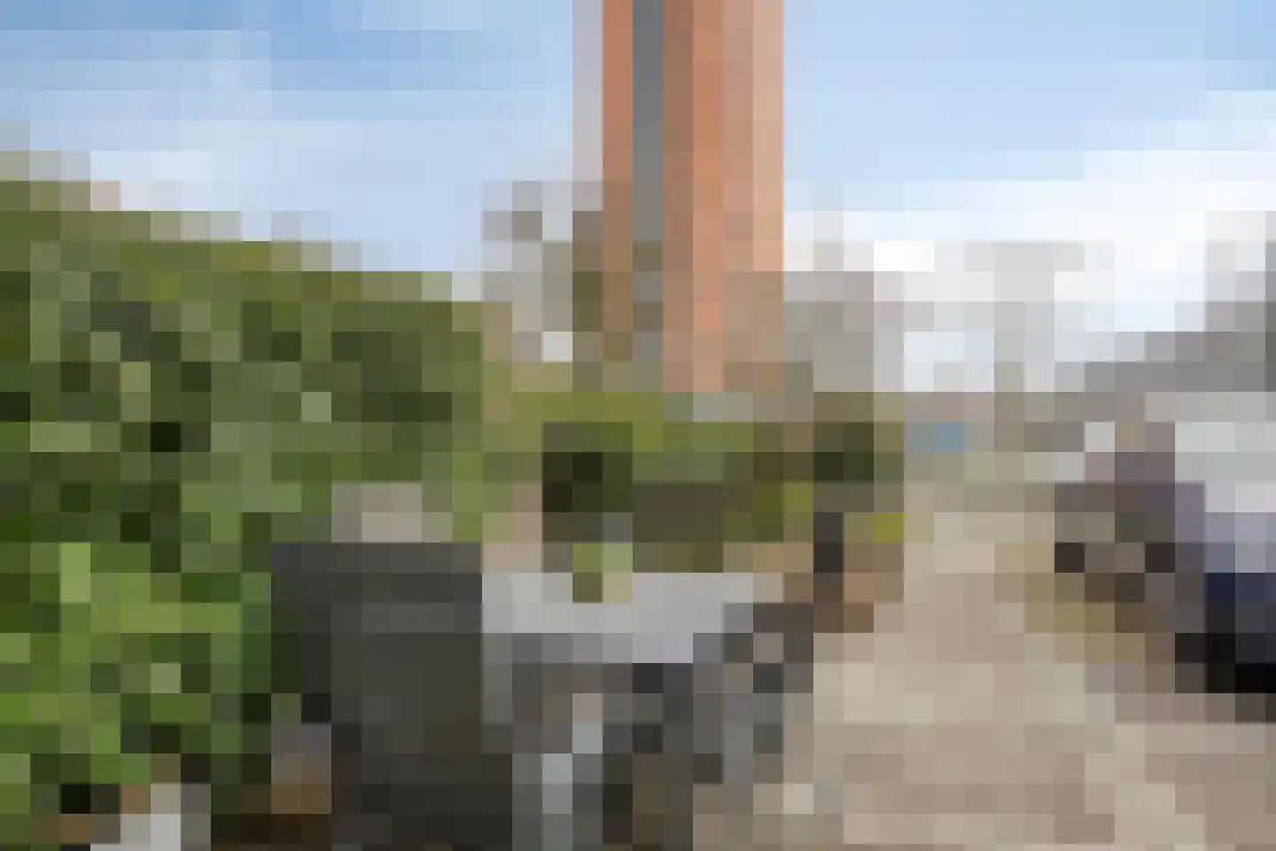 Elly Kerckhoffskade 12 Leiden thumbnail 40