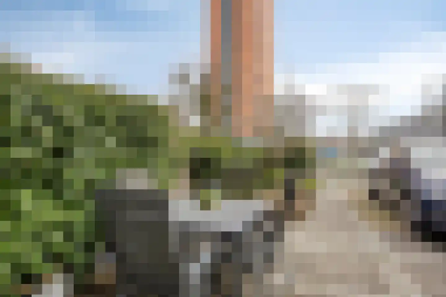Elly Kerckhoffskade 12 Leiden thumbnail 41