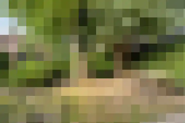 Elmarestraat 37 Waterlandkerkje thumbnail 21