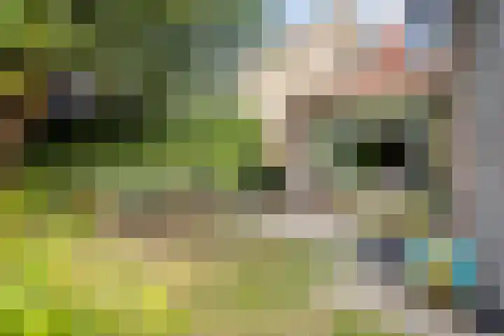 Elmarestraat 37 Waterlandkerkje thumbnail 22