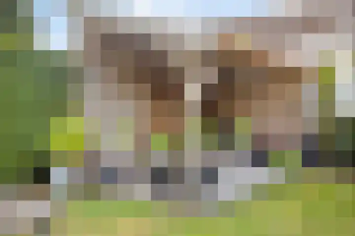 Elmarestraat 37 Waterlandkerkje thumbnail 24