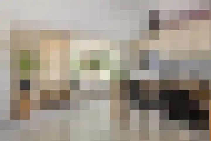 Elmarestraat 37 Waterlandkerkje thumbnail 9