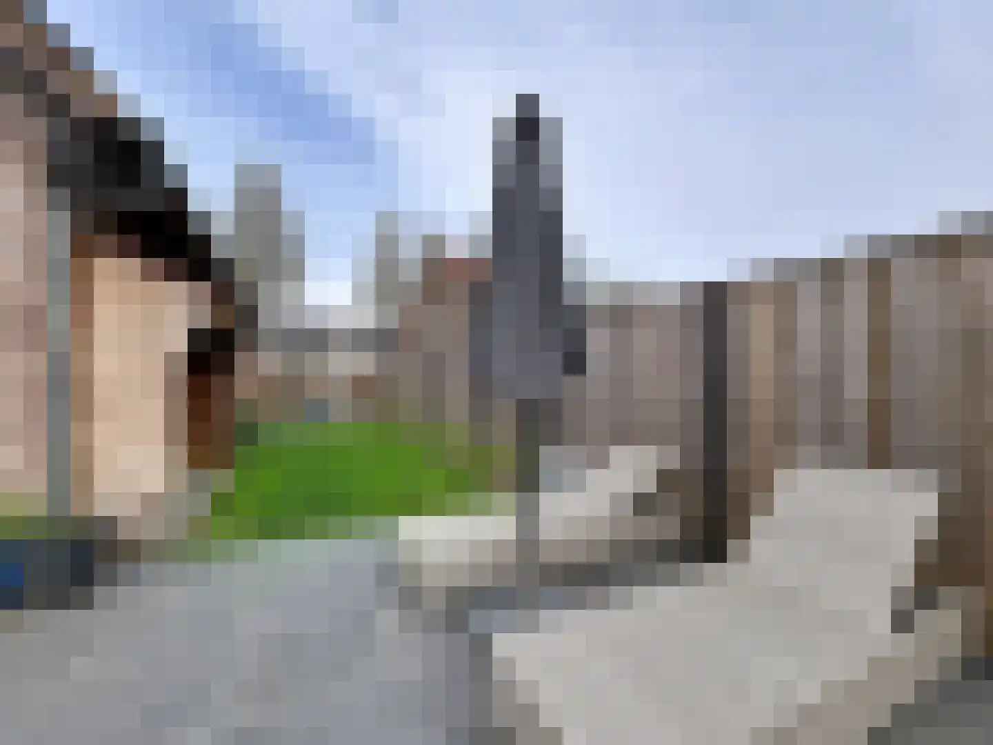 Elmarestraat 43 Waterlandkerkje thumbnail 24