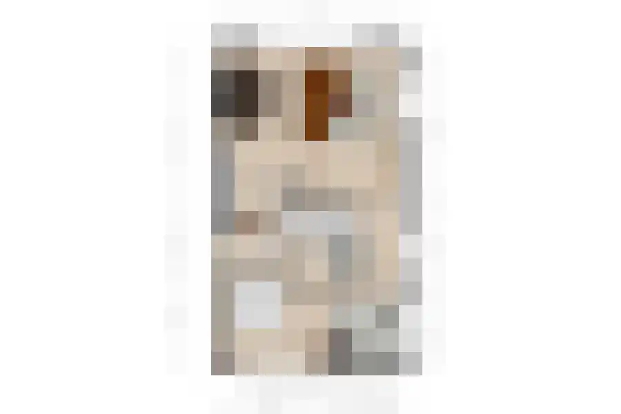 Elmarestraat 43 Waterlandkerkje thumbnail 32