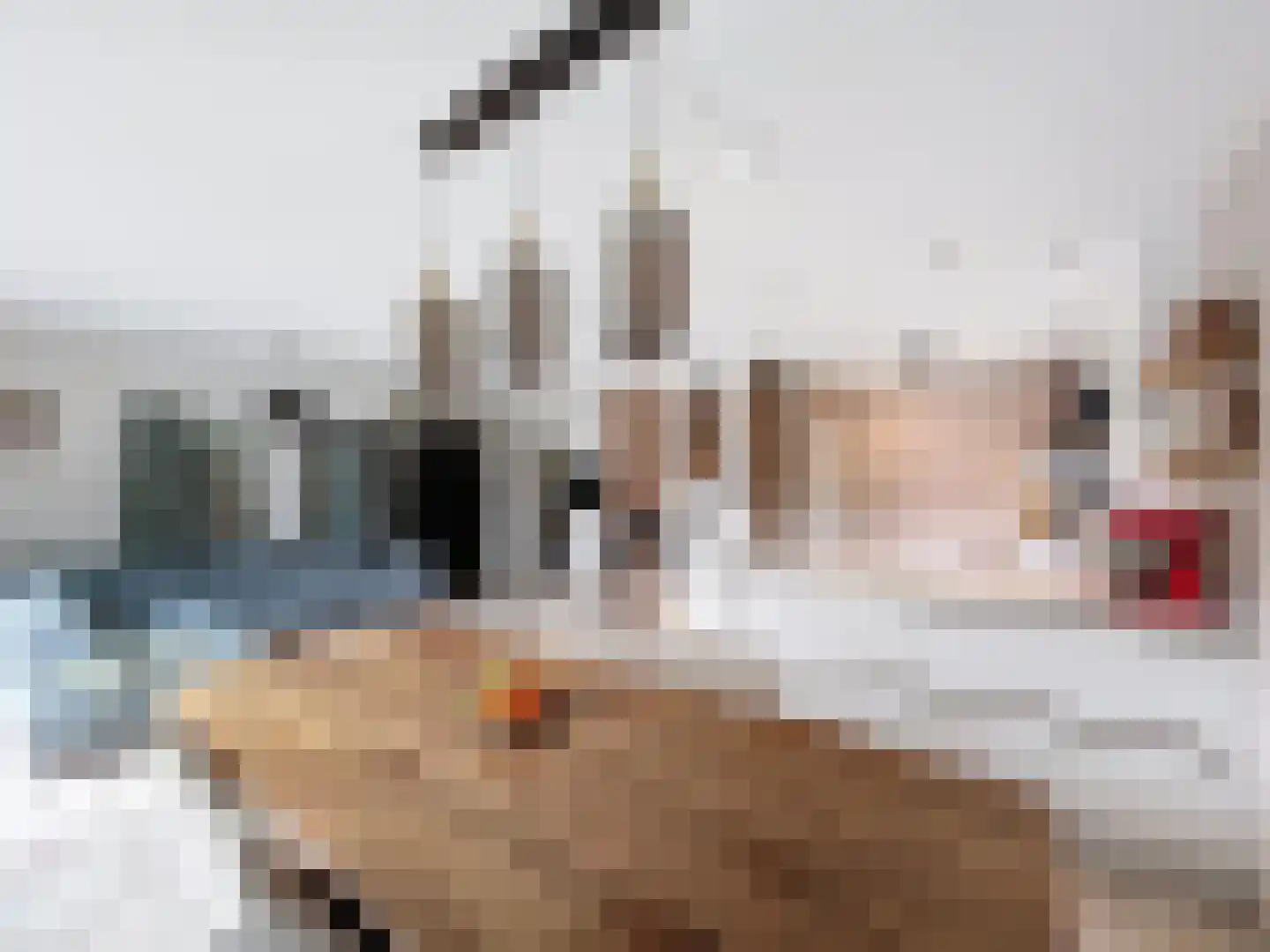 Elmarestraat 43 Waterlandkerkje thumbnail 7