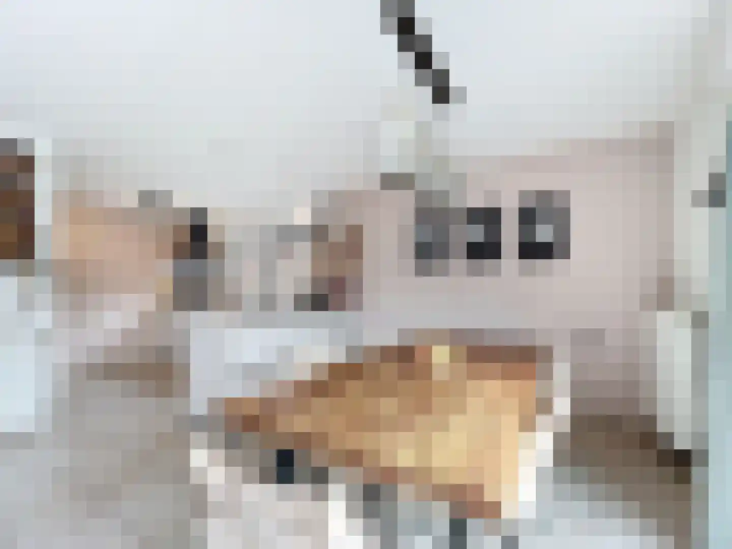 Elmarestraat 43 Waterlandkerkje thumbnail 8