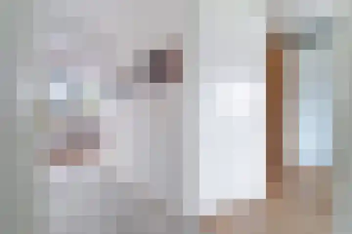 Elmore Jamesstraat 12 Middelburg thumbnail 13