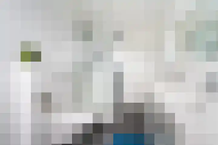 Elmore Jamesstraat 12 Middelburg thumbnail 15