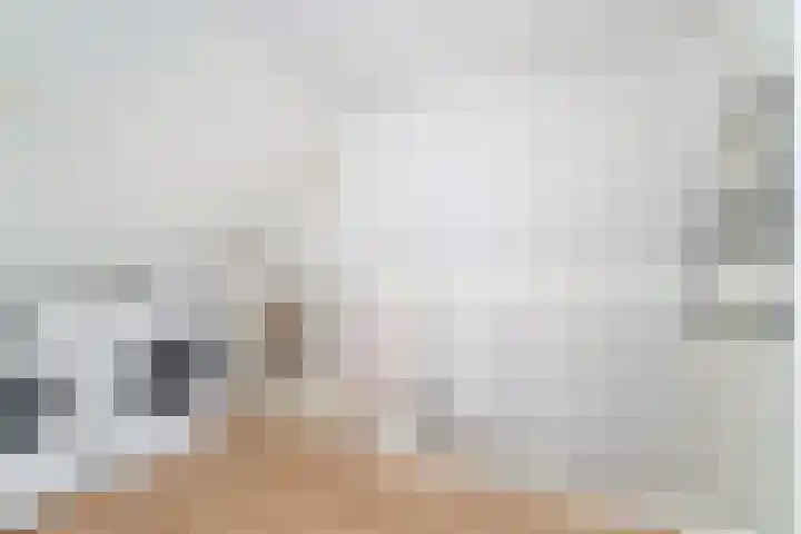 Elmore Jamesstraat 12 Middelburg thumbnail 21