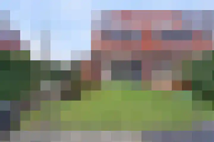 Elmore Jamesstraat 12 Middelburg thumbnail 27