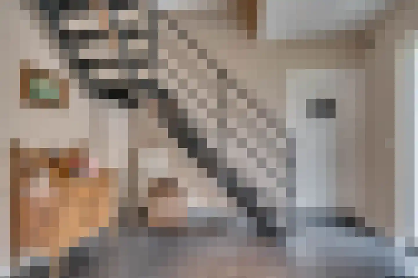Elmpterbaan 10 A Swalmen thumbnail 10
