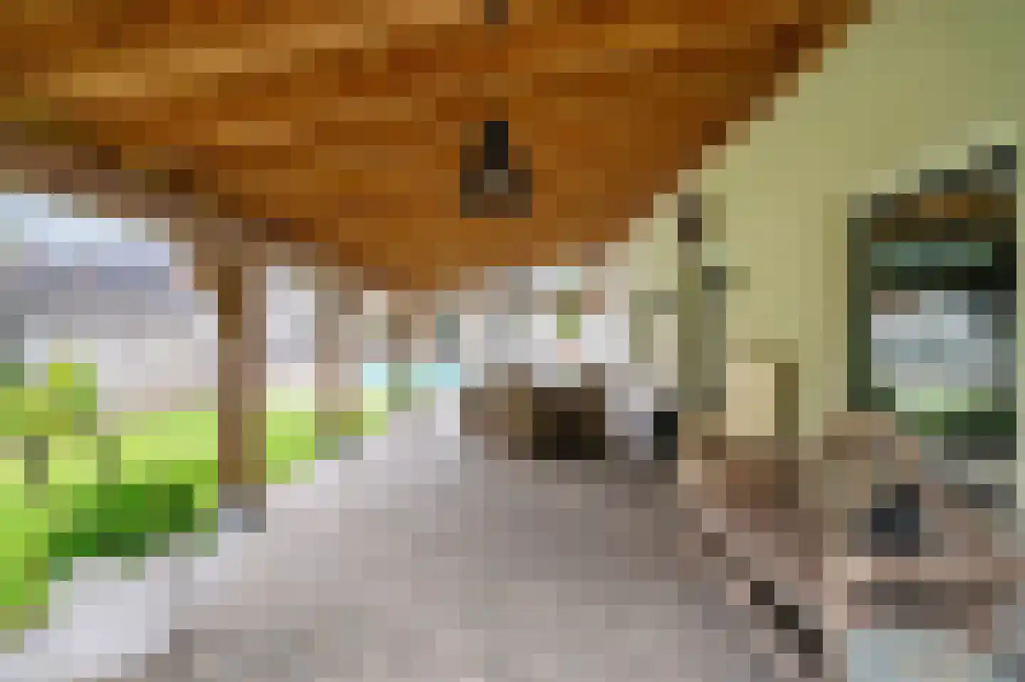 Elmpterbaan 10 A Swalmen thumbnail 100