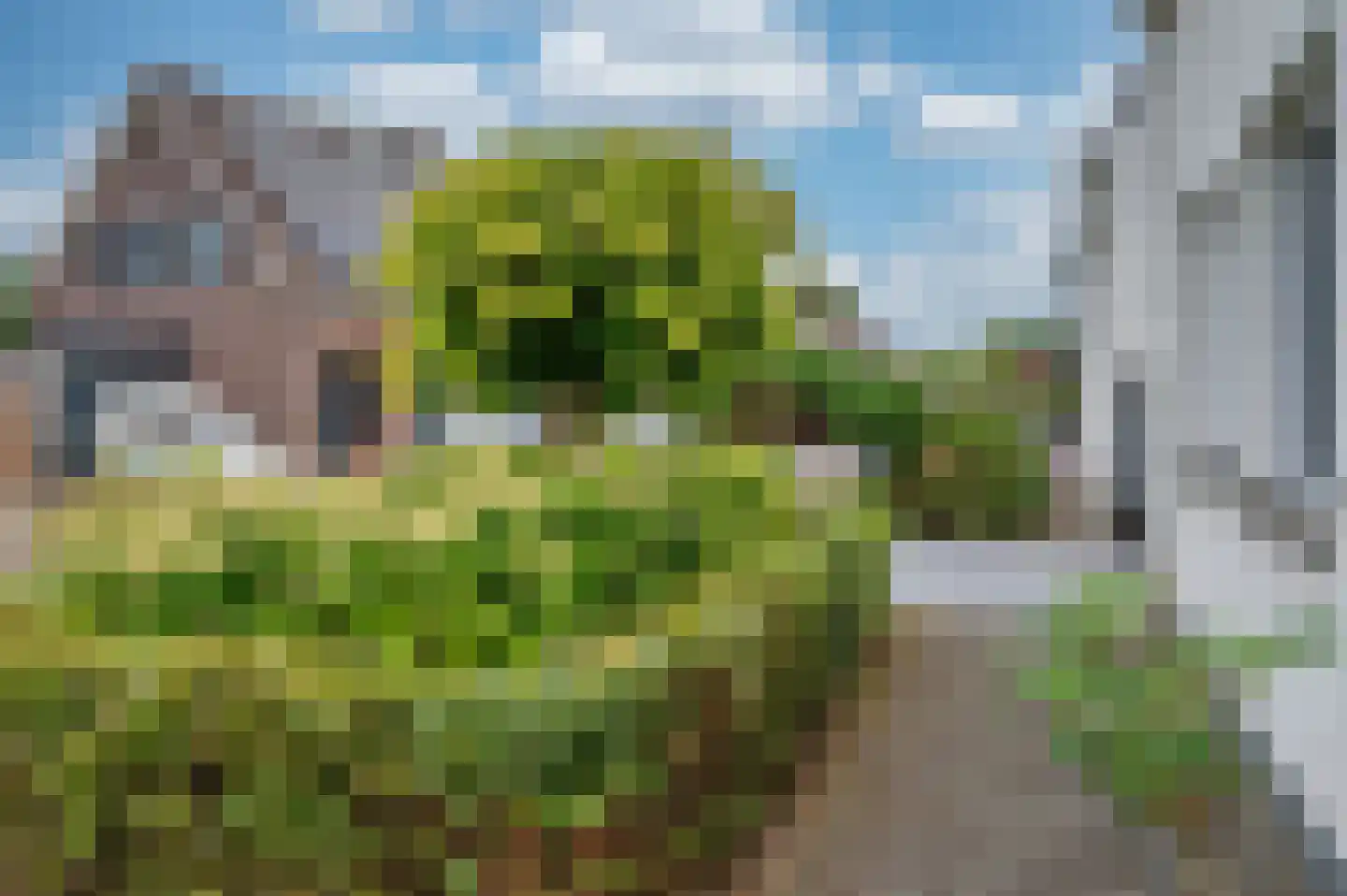Elmpterbaan 10 A Swalmen thumbnail 107
