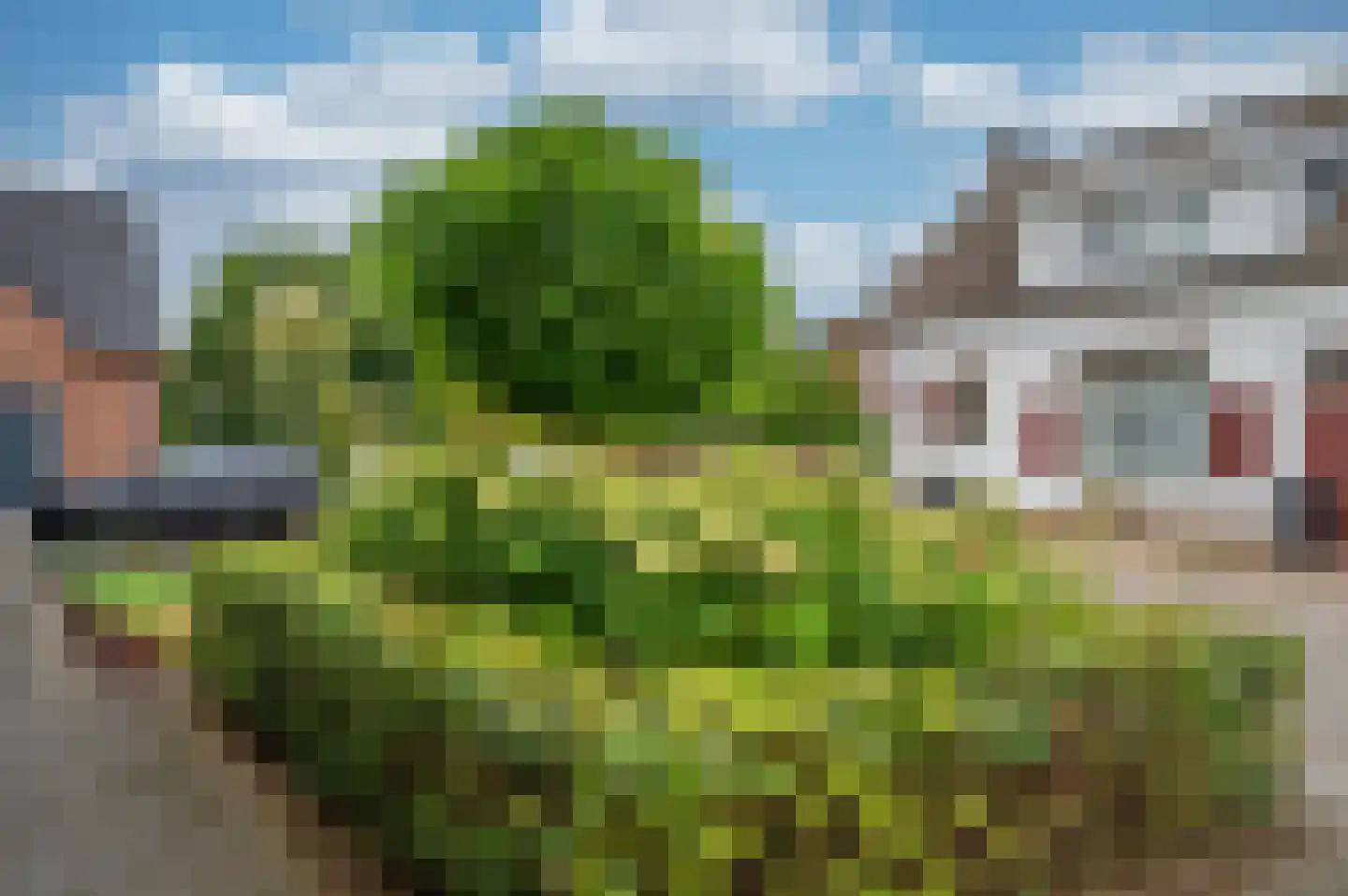 Elmpterbaan 10 A Swalmen thumbnail 109