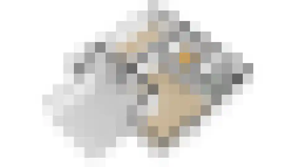 Elmpterbaan 10 A Swalmen thumbnail 111