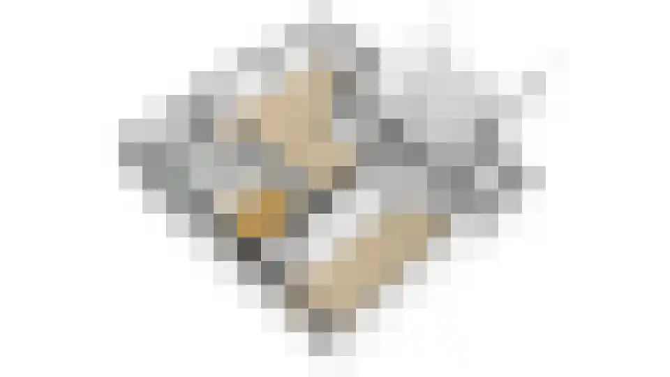 Elmpterbaan 10 A Swalmen thumbnail 112