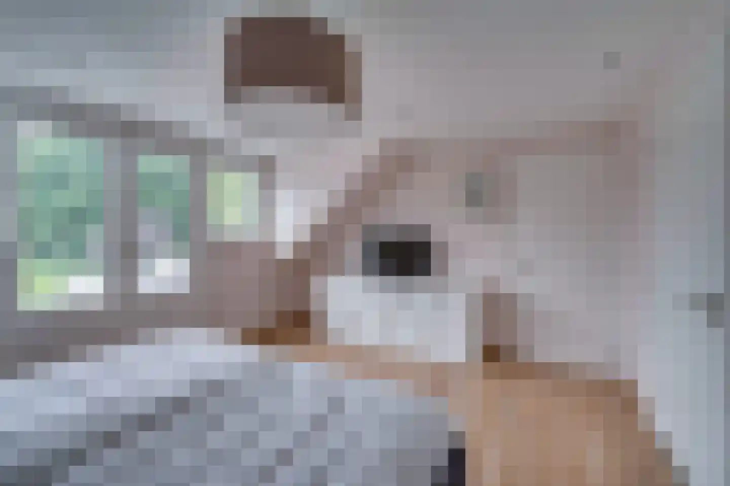 Elmpterbaan 10 A Swalmen thumbnail 43