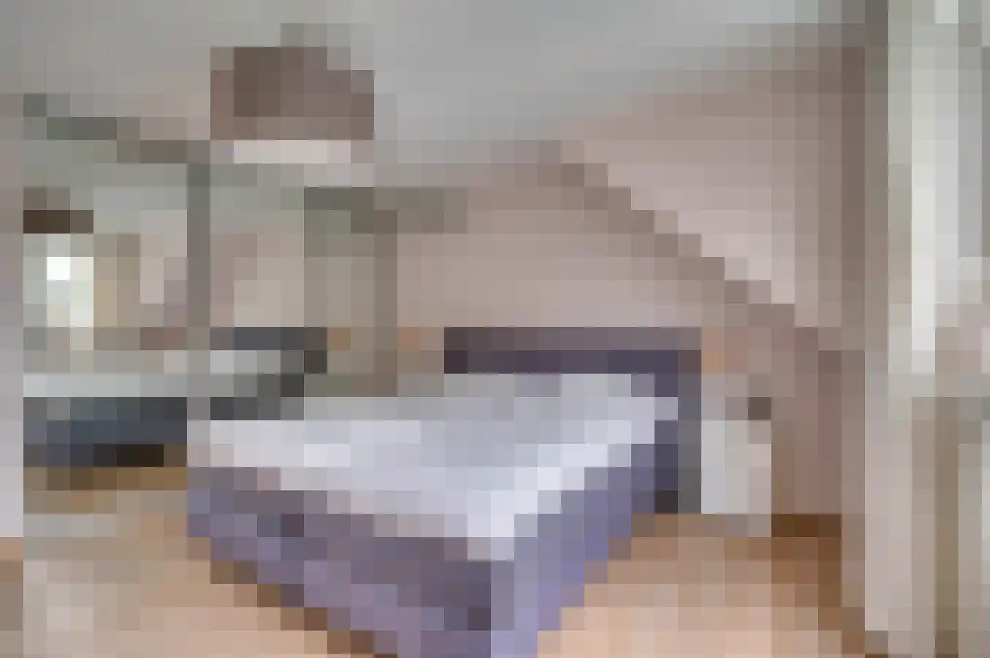 Elmpterbaan 10 A Swalmen thumbnail 44