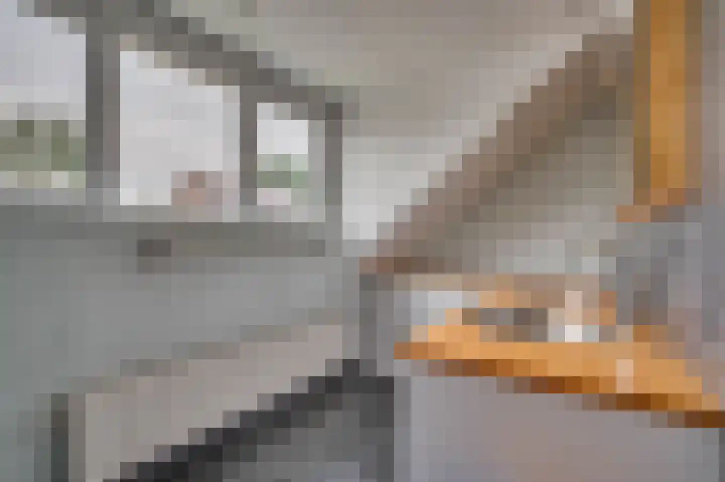 Elmpterbaan 10 A Swalmen thumbnail 49