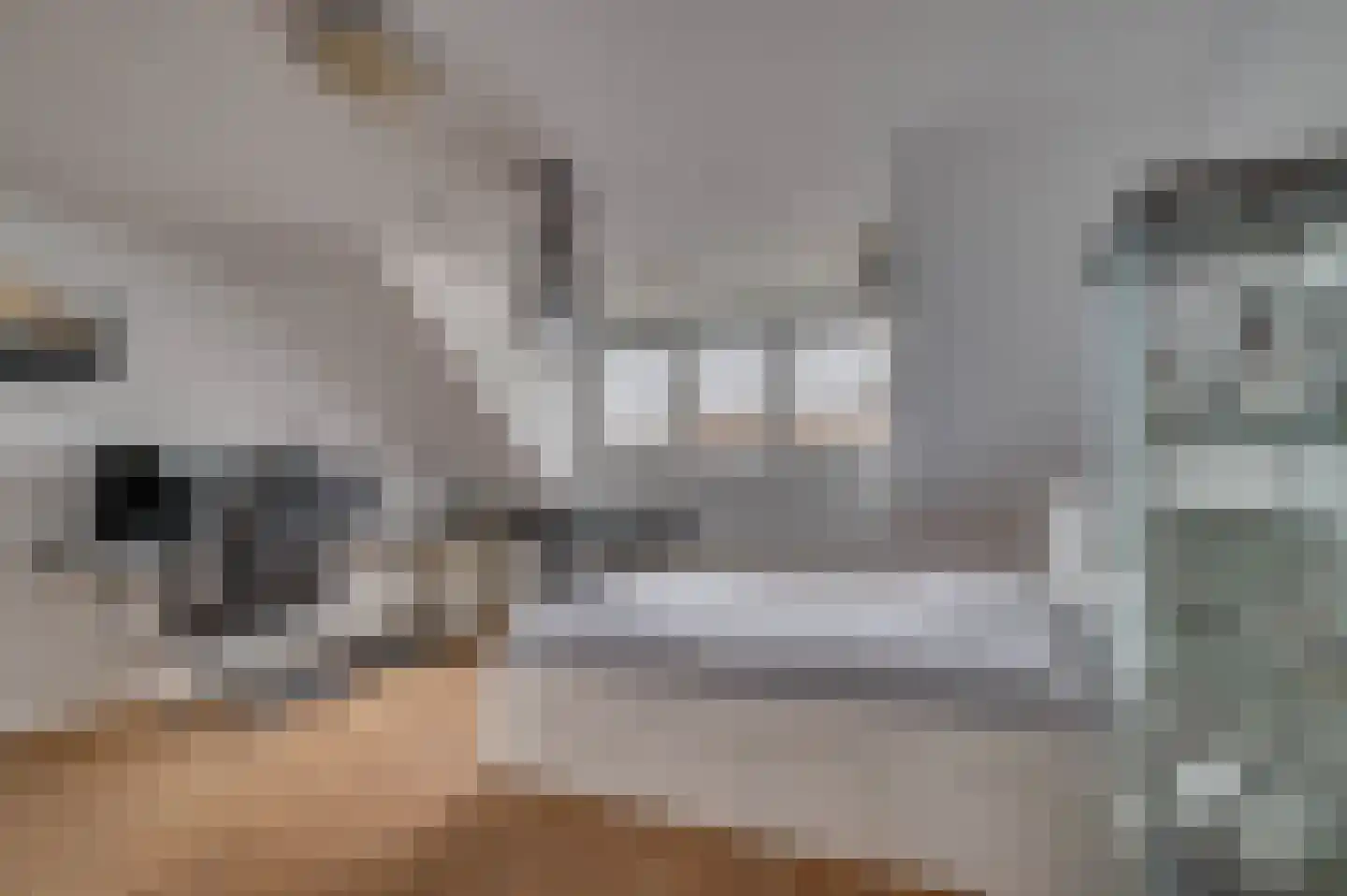Elmpterbaan 10 A Swalmen thumbnail 55