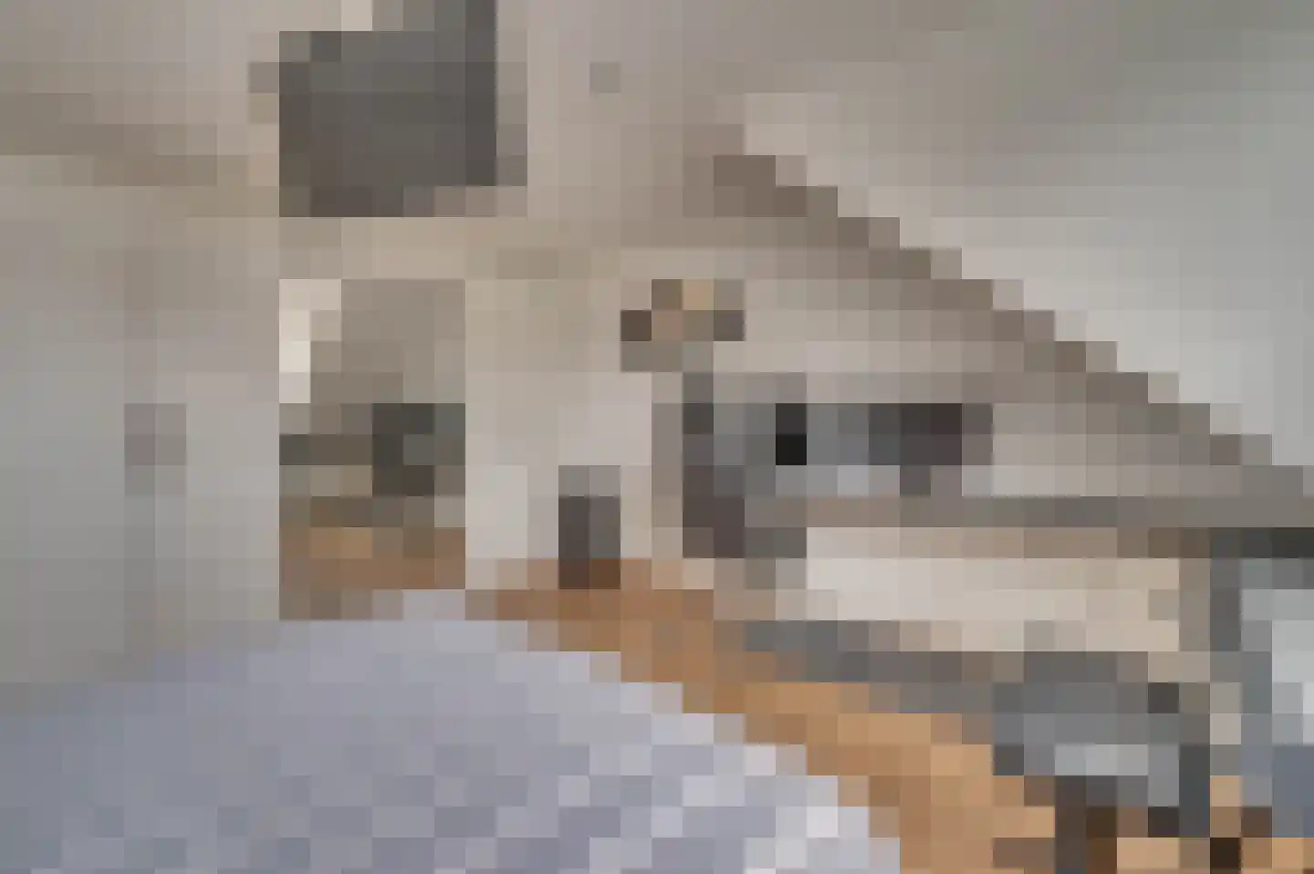 Elmpterbaan 10 A Swalmen thumbnail 58