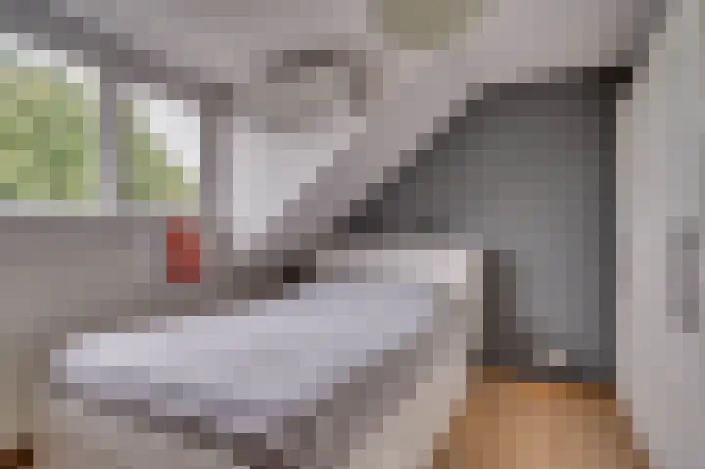 Elmpterbaan 10 A Swalmen thumbnail 60