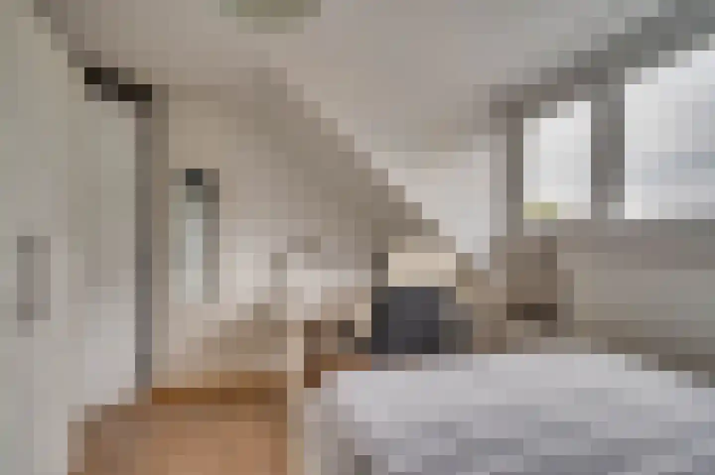 Elmpterbaan 10 A Swalmen thumbnail 61