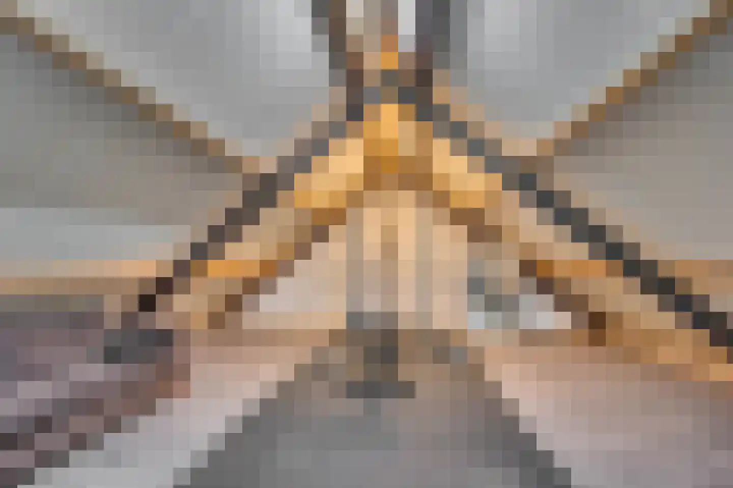 Elmpterbaan 10 A Swalmen thumbnail 68