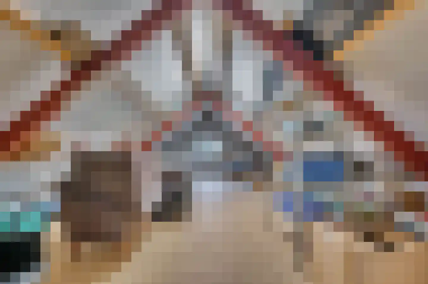 Elmpterbaan 10 A Swalmen thumbnail 69
