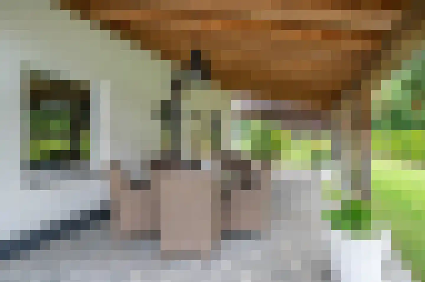 Elmpterbaan 10 A Swalmen thumbnail 89