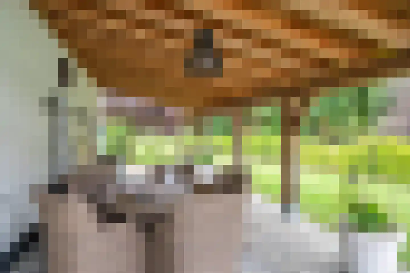 Elmpterbaan 10 A Swalmen thumbnail 90