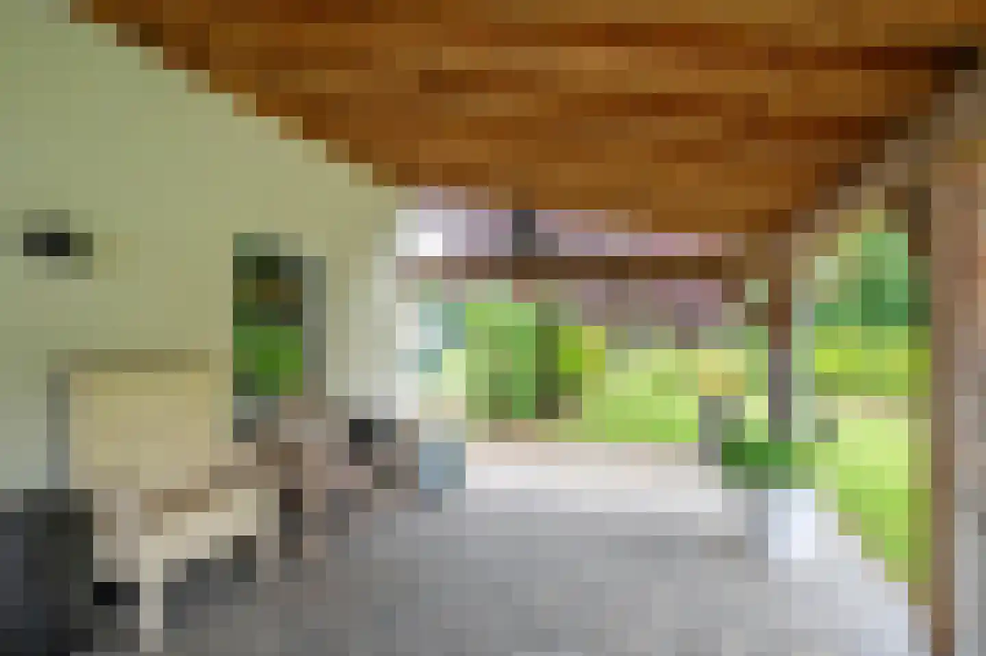 Elmpterbaan 10 A Swalmen thumbnail 91